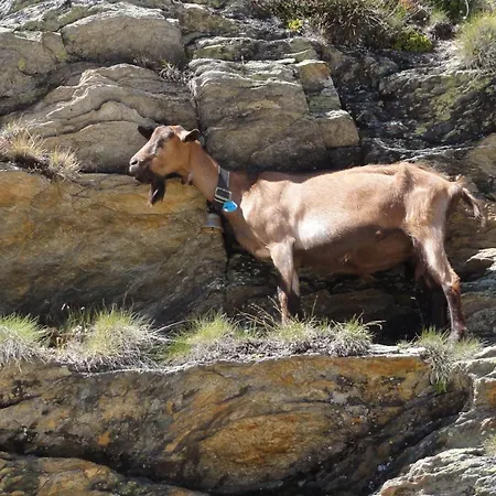 Haus Holiday Saas Fee