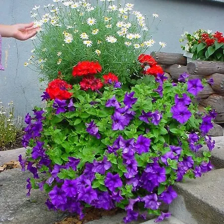 شقة Haus Holiday Saas Fee