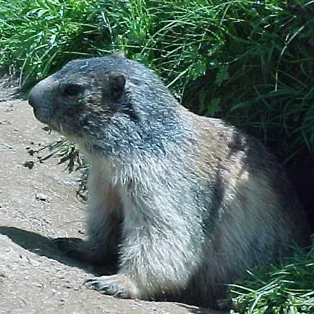 شقة Haus Holiday *