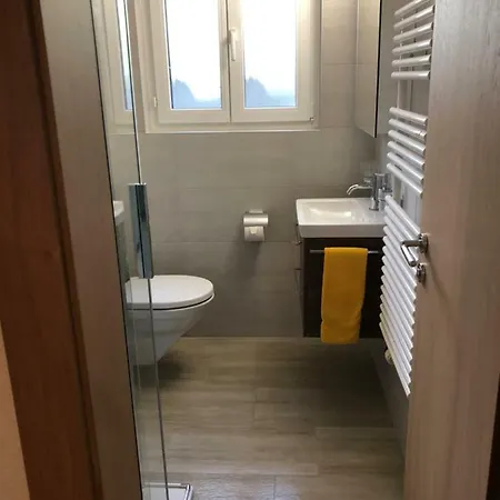 Apartment Haus Saas-Fee