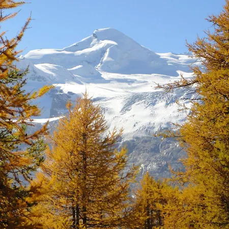 Haus Holiday شقة Saas Fee