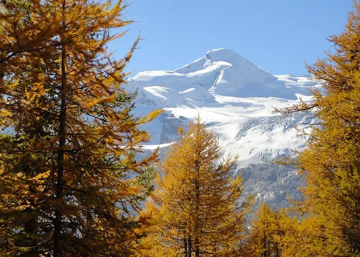 Appartement Haus Holiday *