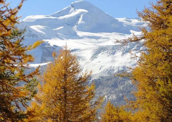 Haus Holiday Appartement Saas Fee