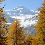 Haus Apartment Saas-Fee